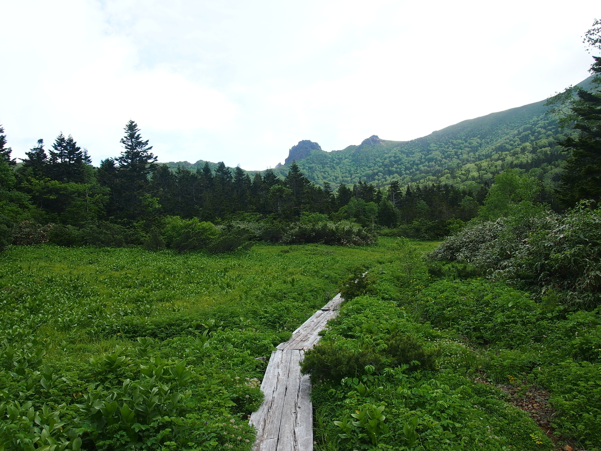 f:id:alpharalpha:20190714133329j:plain f:id:alpharalpha:20190714133329j:plain