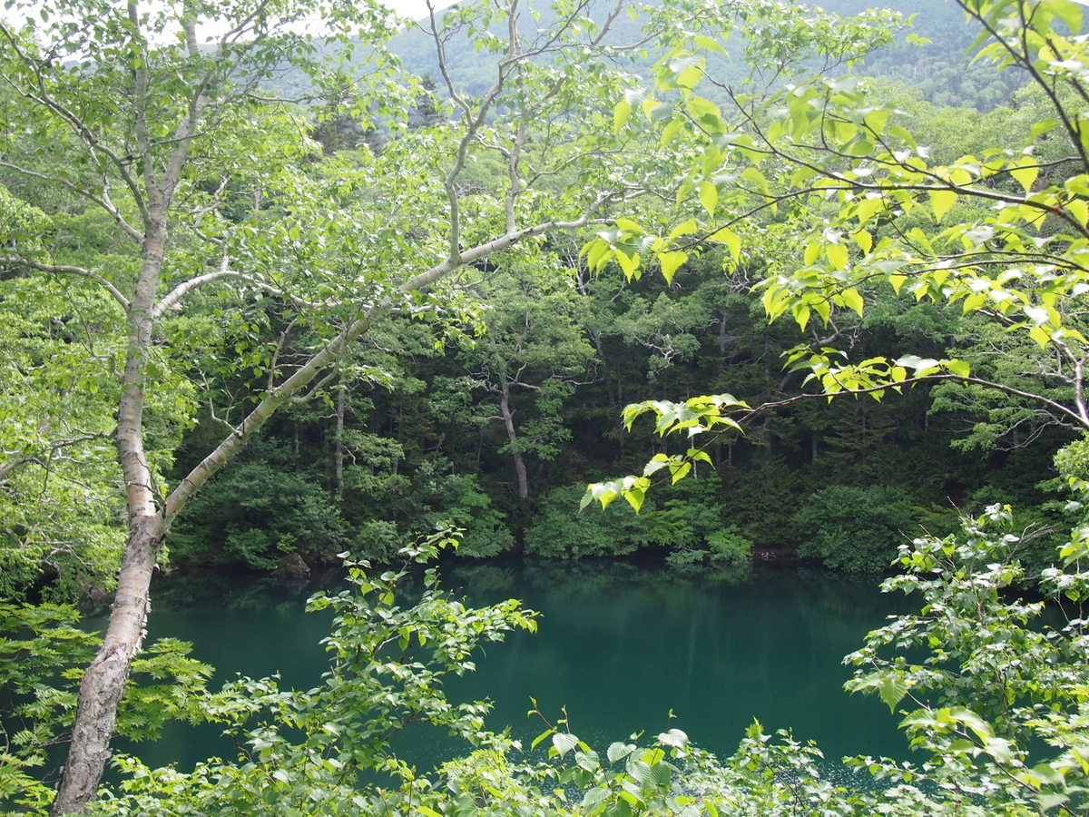 f:id:alpharalpha:20190714134638j:plain f:id:alpharalpha:20190714134638j:plain