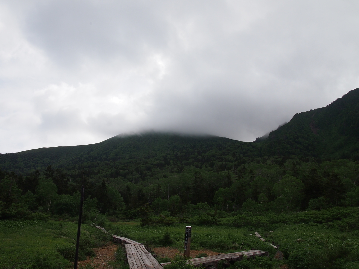f:id:alpharalpha:20190714135304j:plain f:id:alpharalpha:20190714135304j:plain