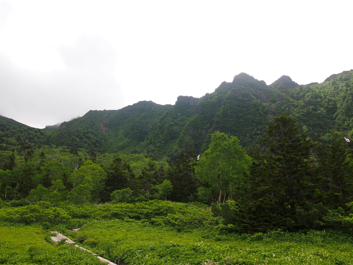 f:id:alpharalpha:20190714135342j:plain f:id:alpharalpha:20190714135342j:plain