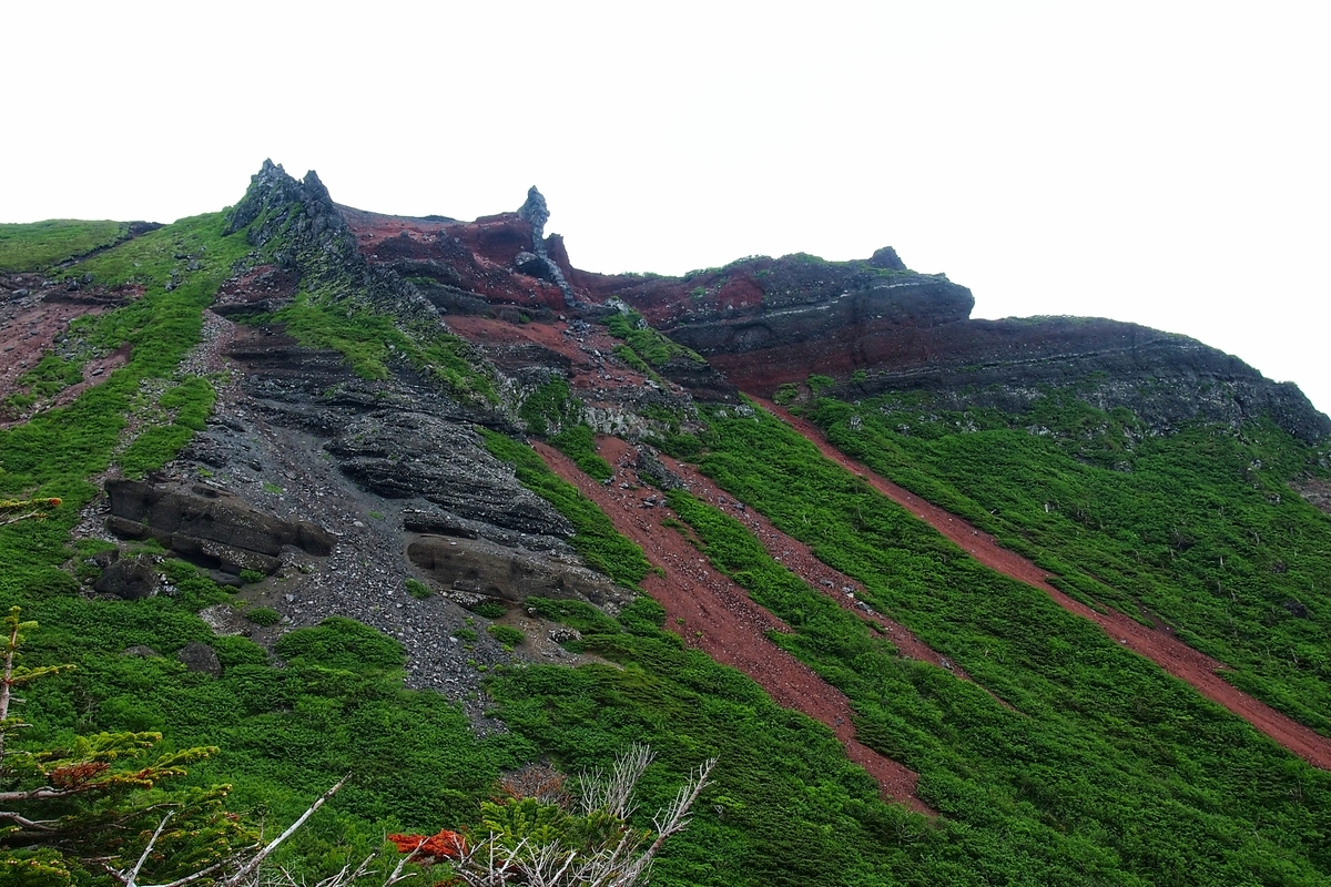 f:id:alpharalpha:20190714173130j:plain f:id:alpharalpha:20190714173130j:plain