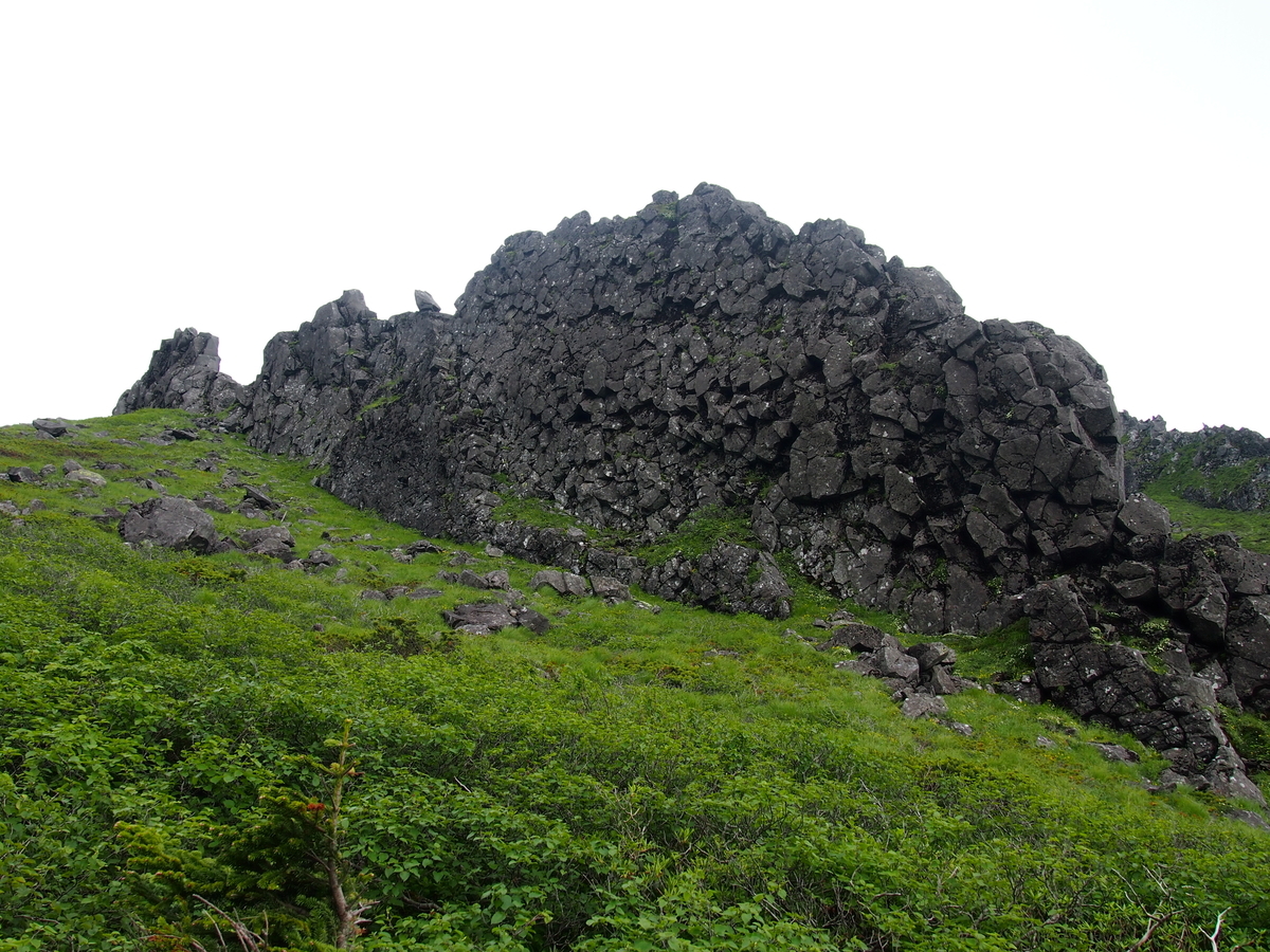 f:id:alpharalpha:20190714173221j:plain f:id:alpharalpha:20190714173221j:plain