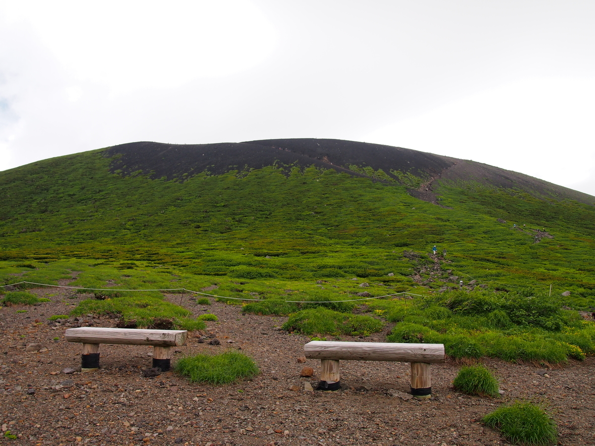 f:id:alpharalpha:20190714173457j:plain f:id:alpharalpha:20190714173457j:plain