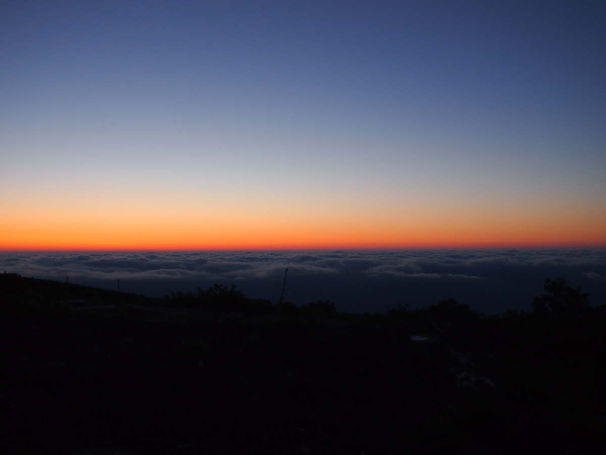 f:id:alpharalpha:20190714182629j:plain f:id:alpharalpha:20190714182629j:plain