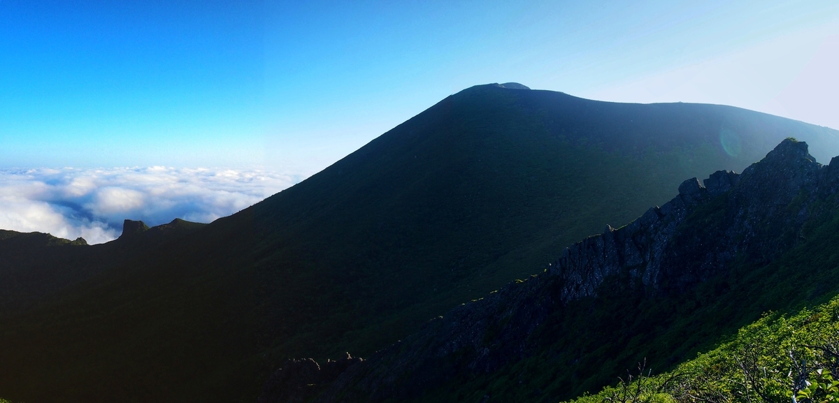 f:id:alpharalpha:20190714184430j:plain f:id:alpharalpha:20190714184430j:plain
