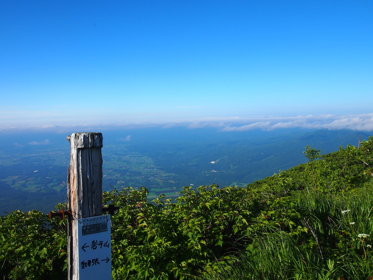 f:id:alpharalpha:20190715013225j:plain f:id:alpharalpha:20190715013225j:plain