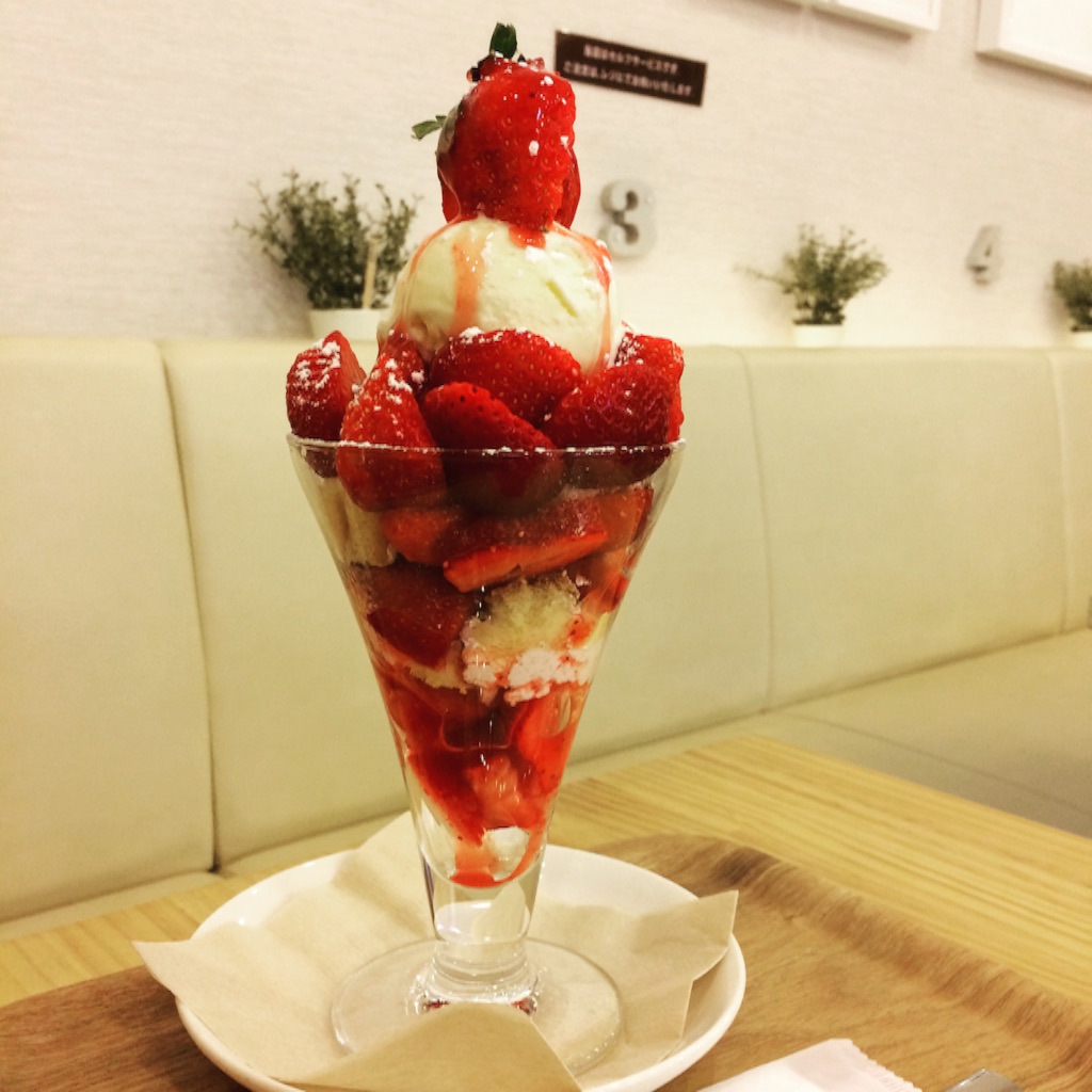 f:id:alpharuha:20171218165259j:image f:id:alpharuha:20171218165259j:image