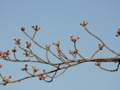 20170404164639