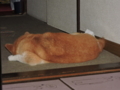 20170630065928