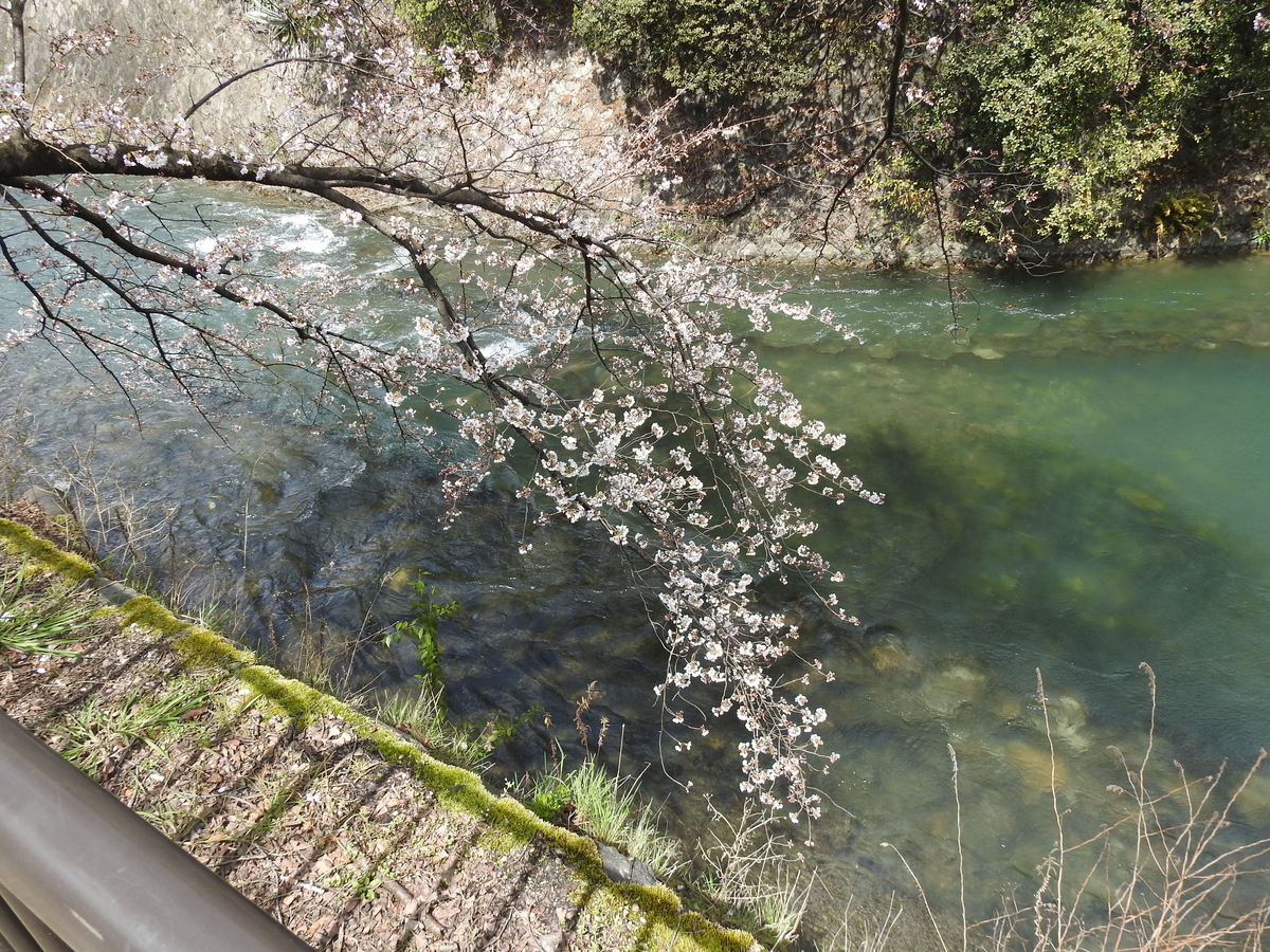 f:id:alphonse1208:20190403114931j:plain
