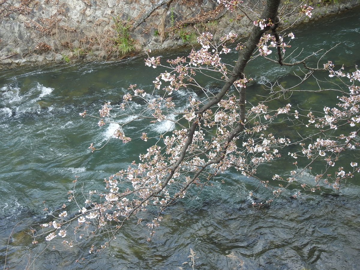 f:id:alphonse1208:20190403115136j:plain