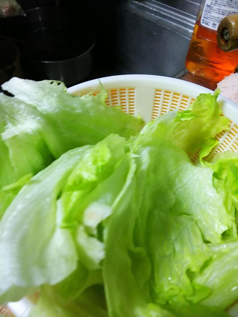 f:id:alphonse1208:20190503200216j:plain