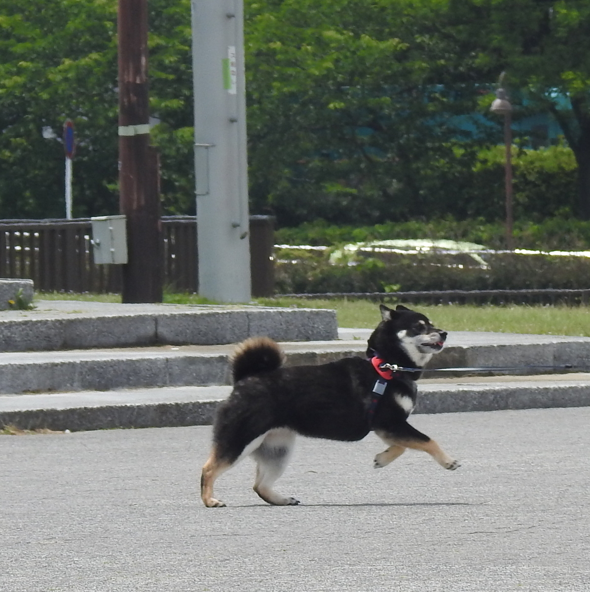 f:id:alphonse1208:20200604122848j:plain