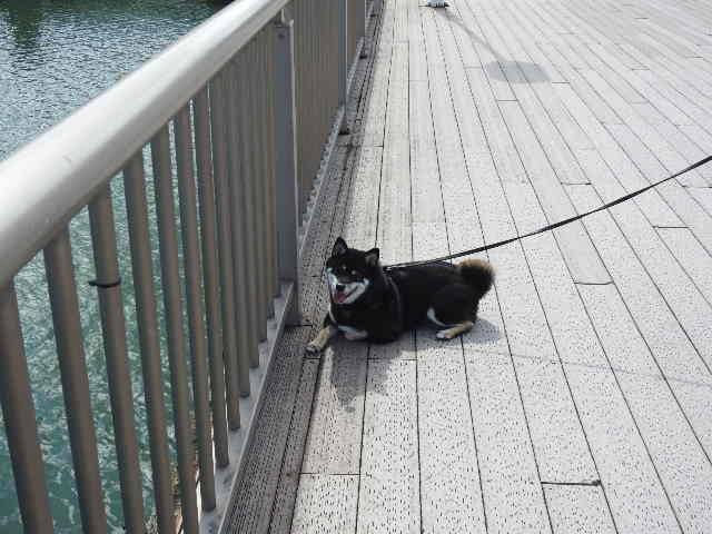f:id:alphonse1208:20201001121048j:plain