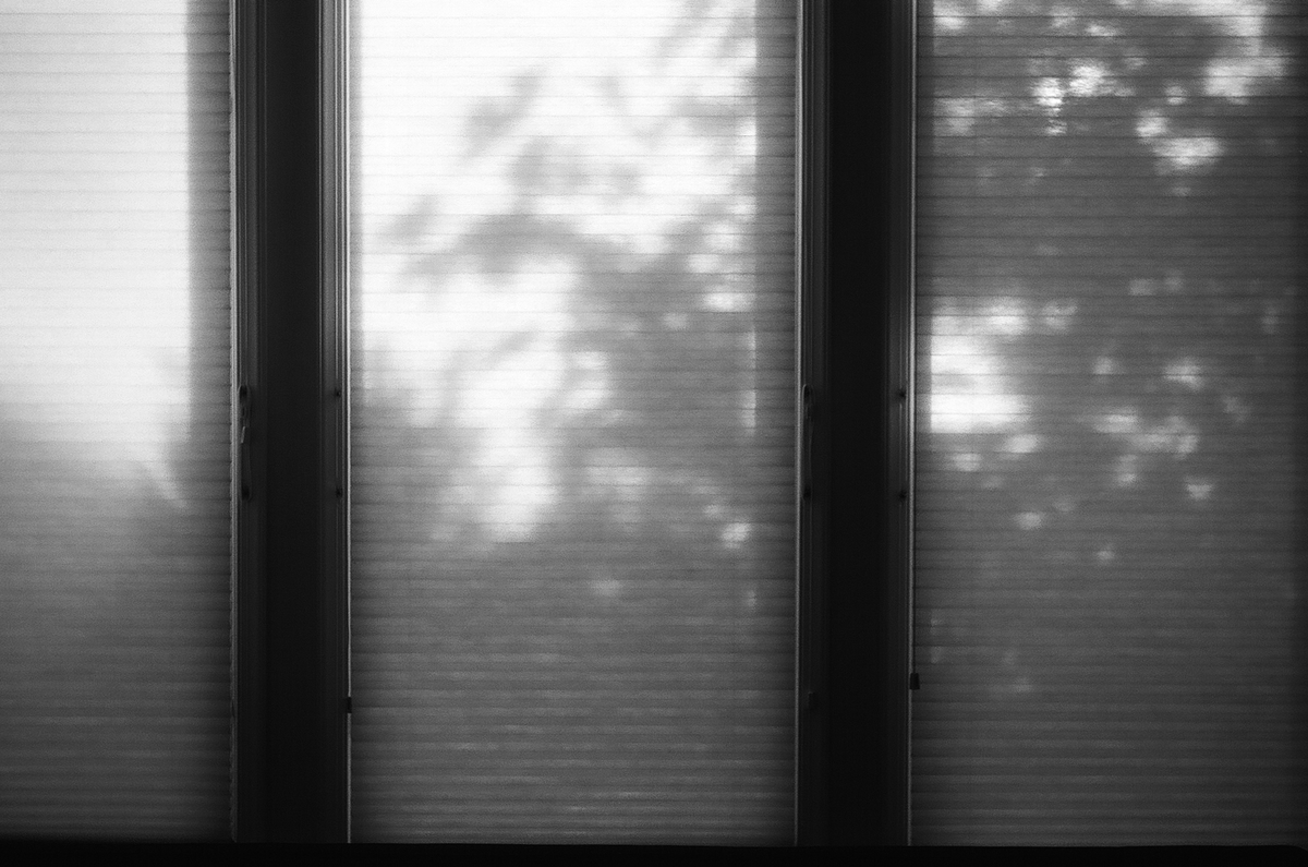 f:id:alphoto:20191013094322j:plain