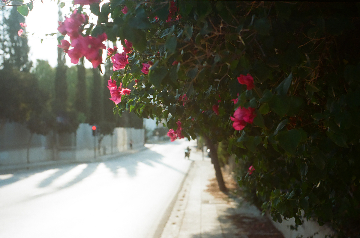 f:id:alphoto:20191027123656j:plain