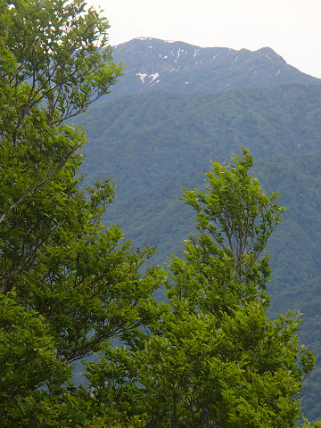 f:id:alpinist0610:20210608173837j:plain