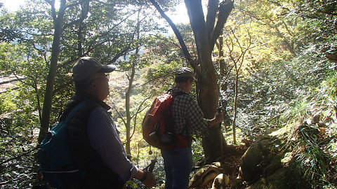 f:id:alpinist0610:20211106073240j:plain