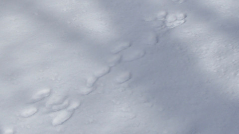 f:id:alpinist0610:20220106154236j:plain