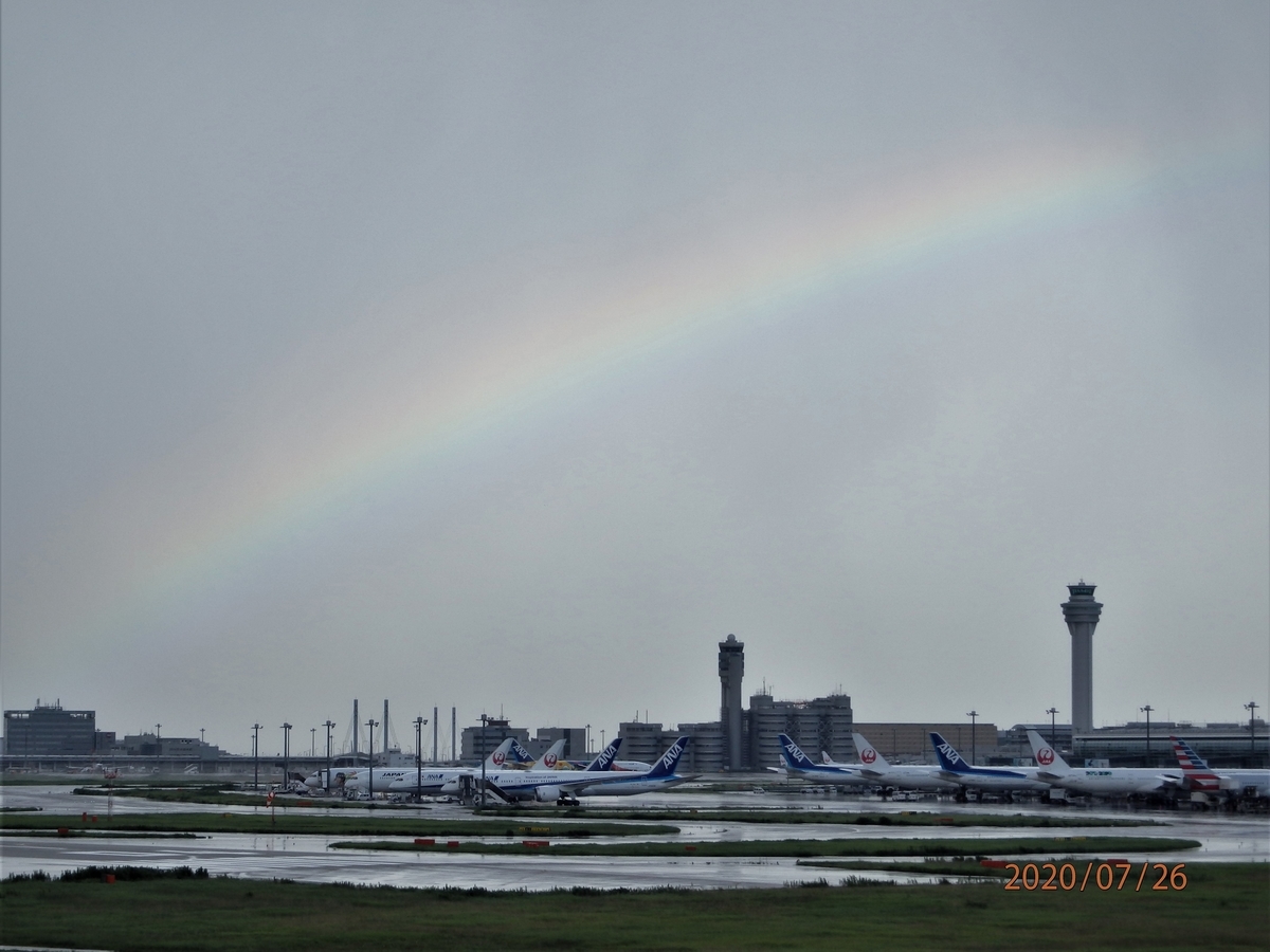 Delta Groove Roteiro(ロテイロ) 滑走路 羽田空港再現 D滑走路