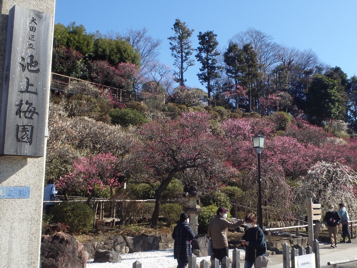 f:id:alps6717:20210220144845j:plain