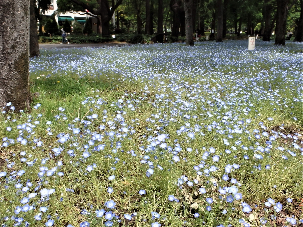 和田秀樹とは 一般の人気 最新記事を集めました はてな