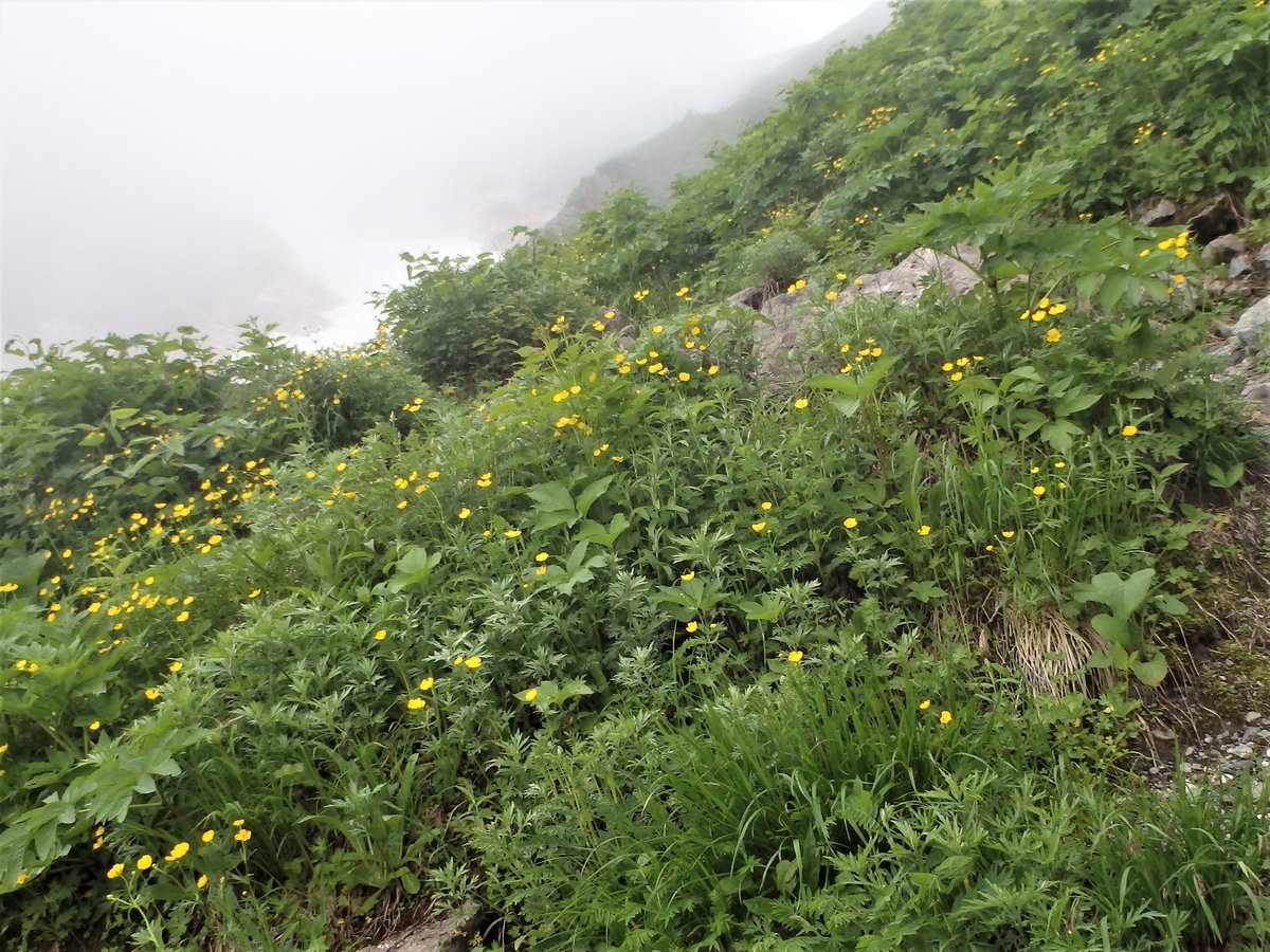 f:id:alps6717:20210726064745j:plain