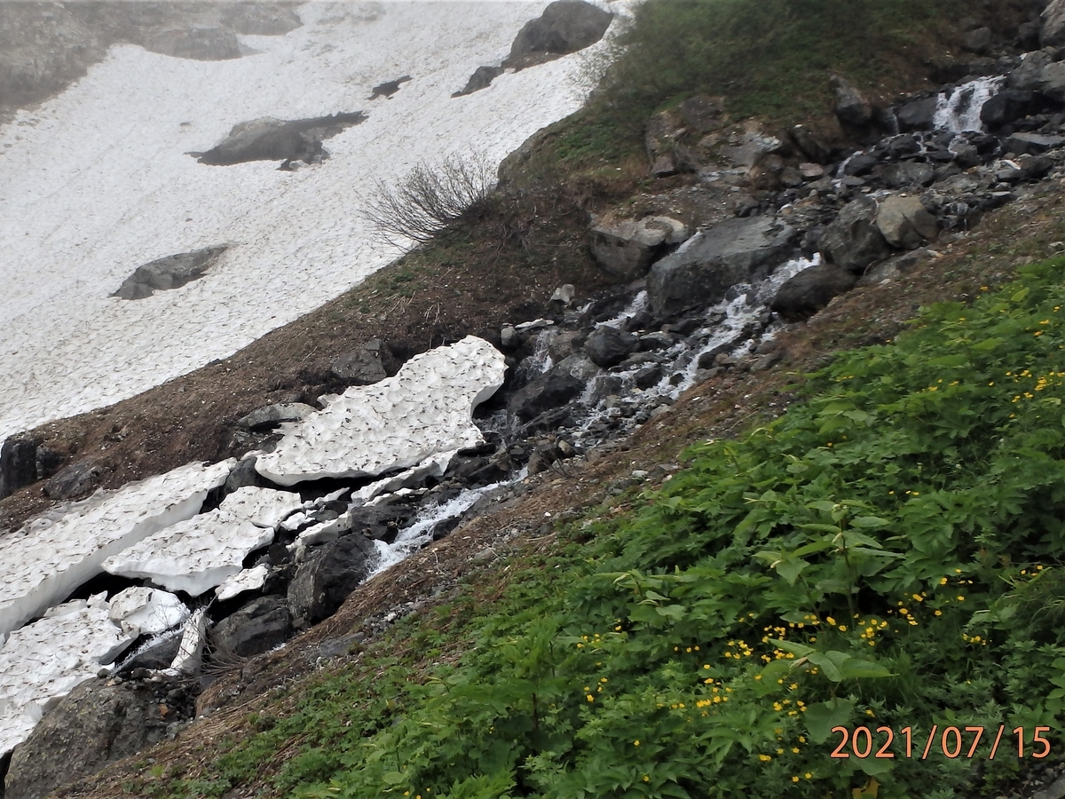 f:id:alps6717:20210726065554j:plain