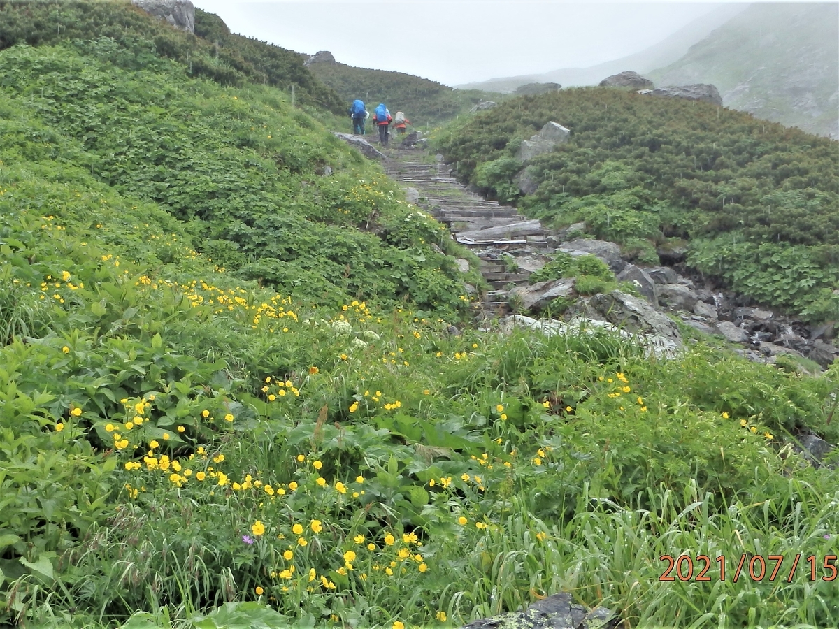 f:id:alps6717:20210726073203j:plain