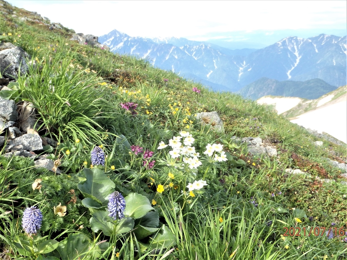 f:id:alps6717:20210726082237j:plain
