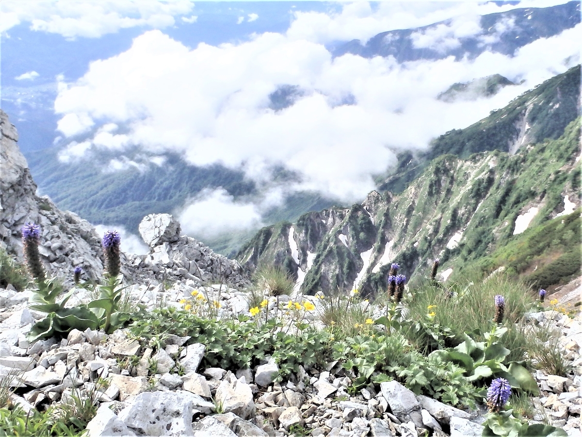 f:id:alps6717:20210726082658j:plain
