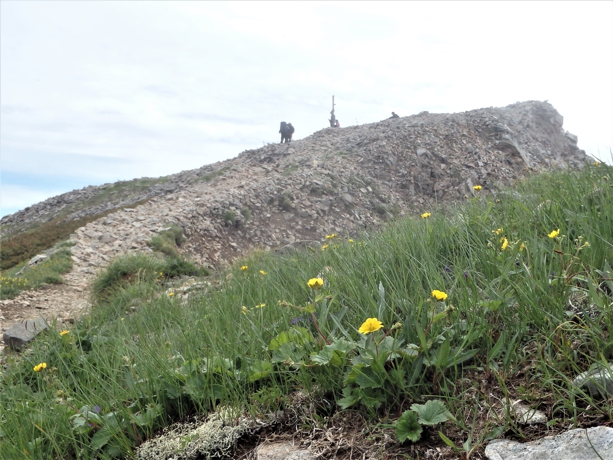 f:id:alps6717:20210726084849j:plain