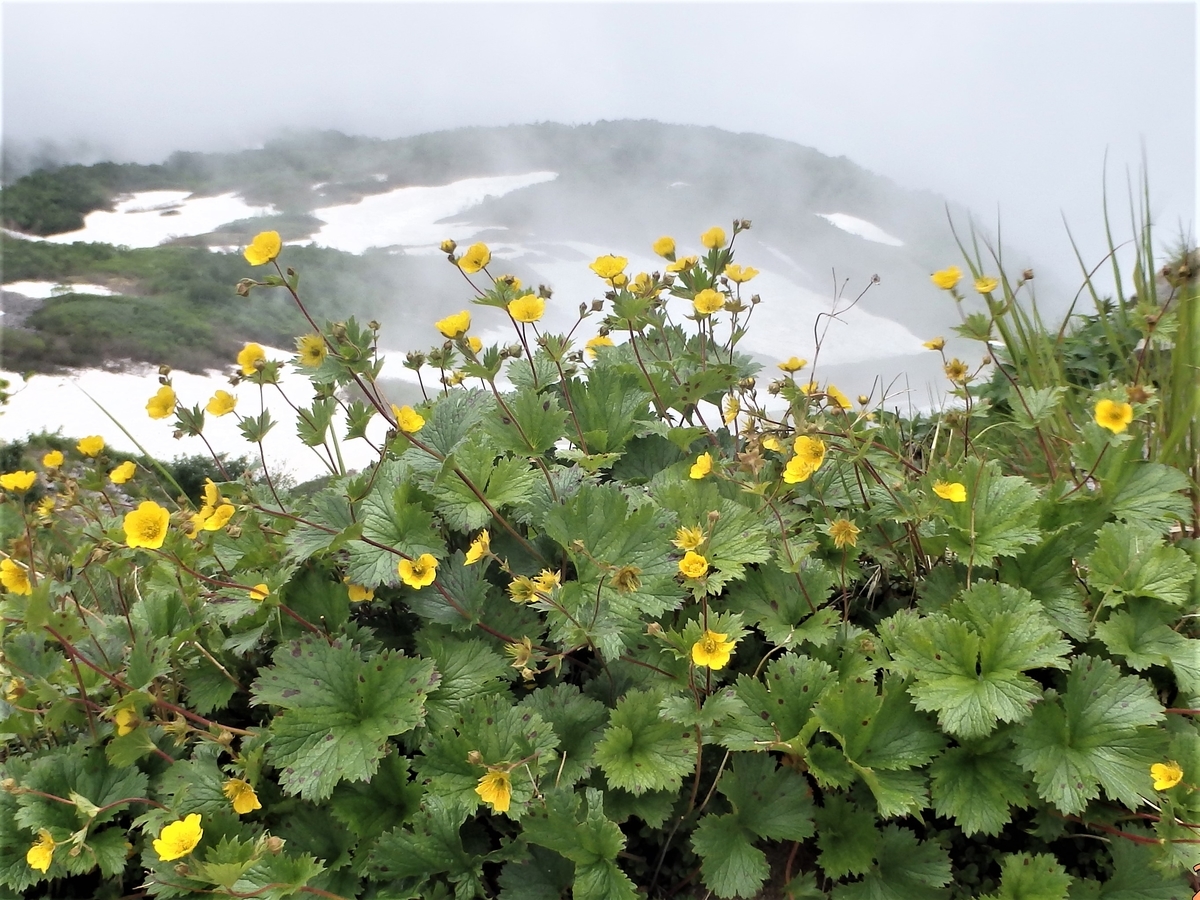 f:id:alps6717:20210726090013j:plain