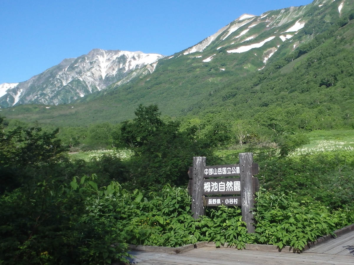 f:id:alps6717:20210726090841j:plain