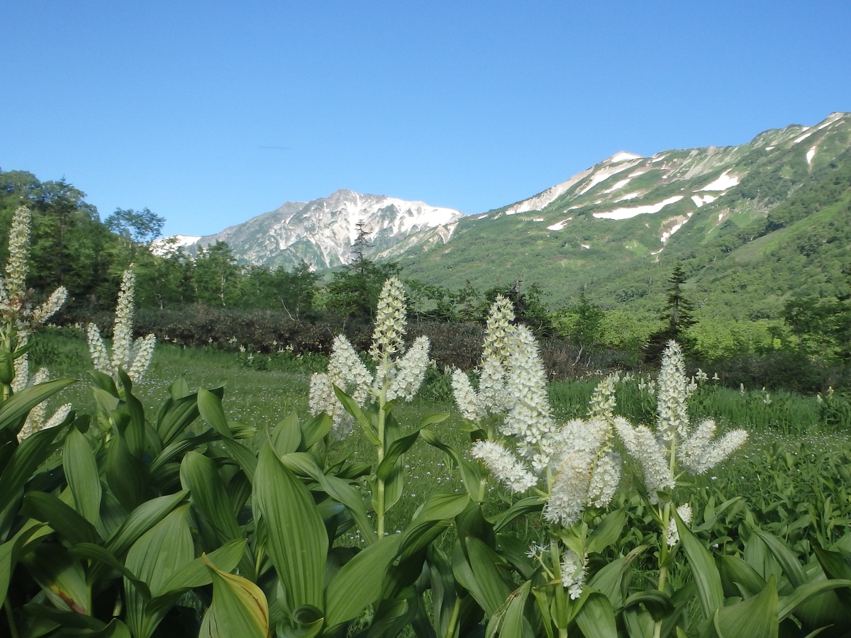 f:id:alps6717:20210726090922j:plain