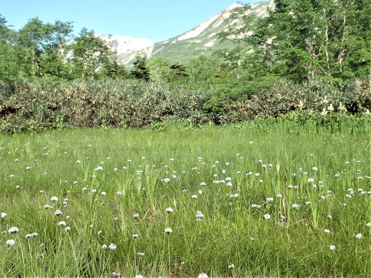 f:id:alps6717:20210726091134j:plain