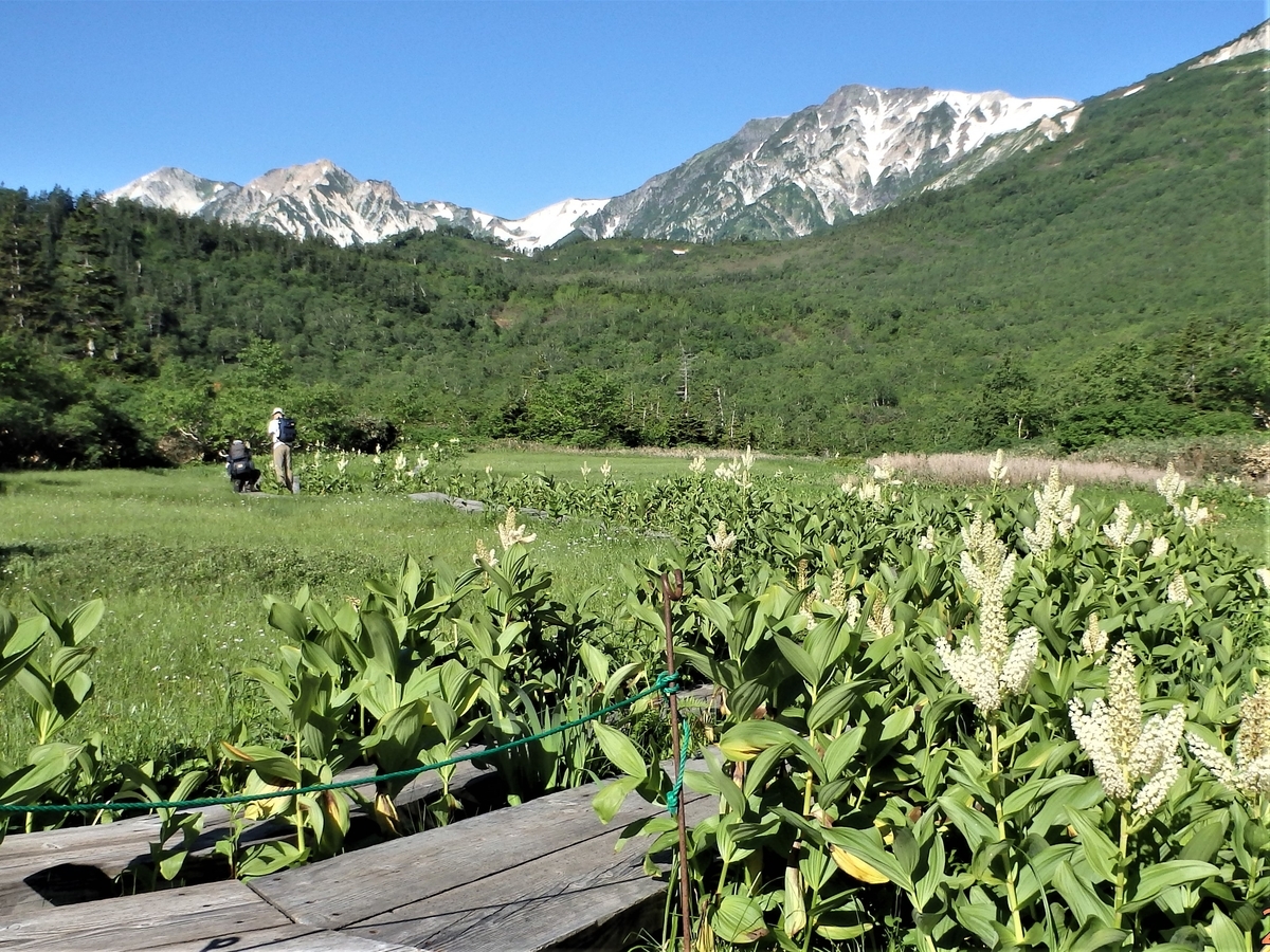 f:id:alps6717:20210726092415j:plain