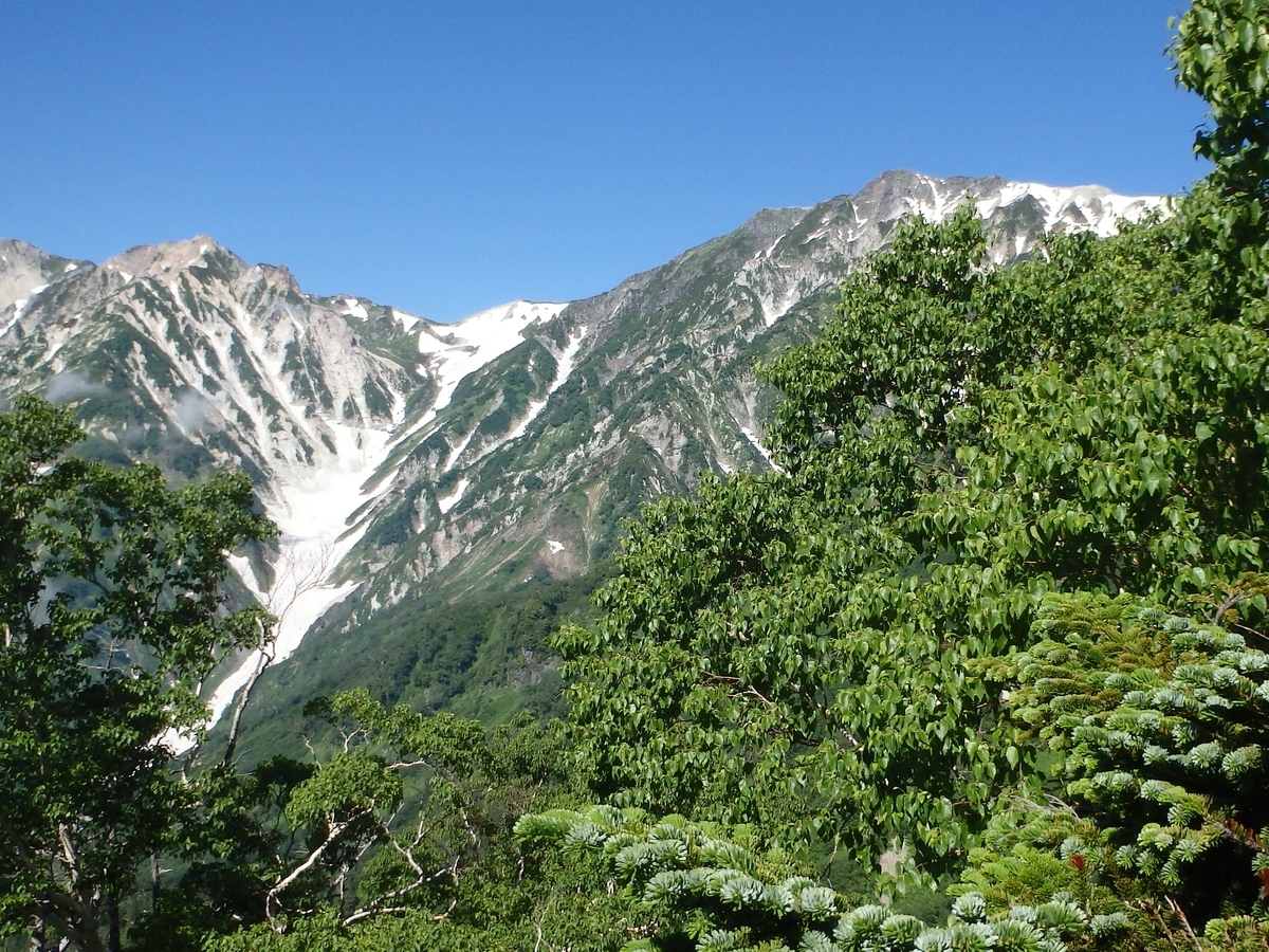 f:id:alps6717:20210726093103j:plain