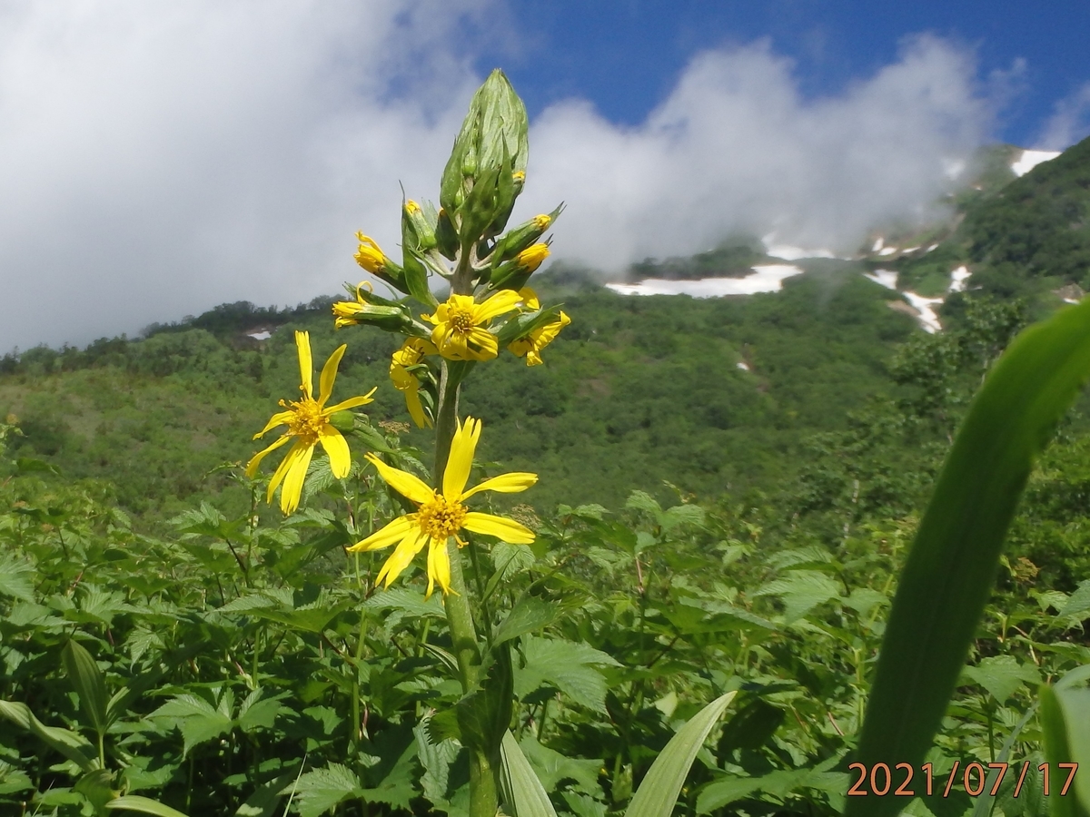 f:id:alps6717:20210726093933j:plain