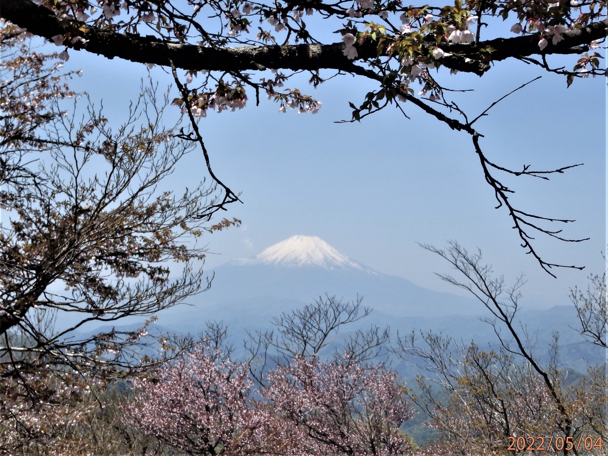 丹沢・塔ノ岳のGWは混雑して登山道でのすれ違いもたいへんでした