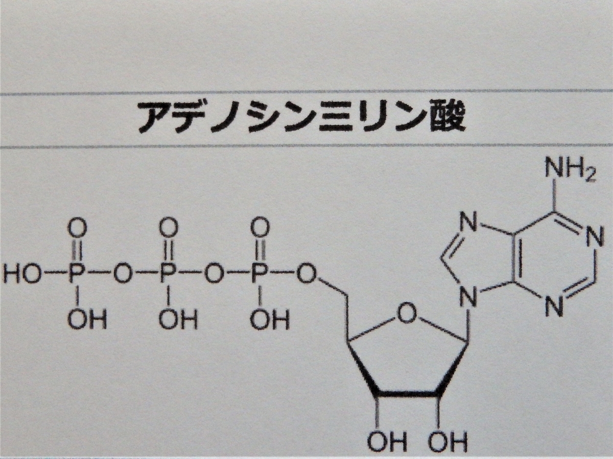 からだの豆知識⑭「エネルギー」は細胞内のミトコンドリアでつくられる - 北穂高岳で味わう至福のひと時