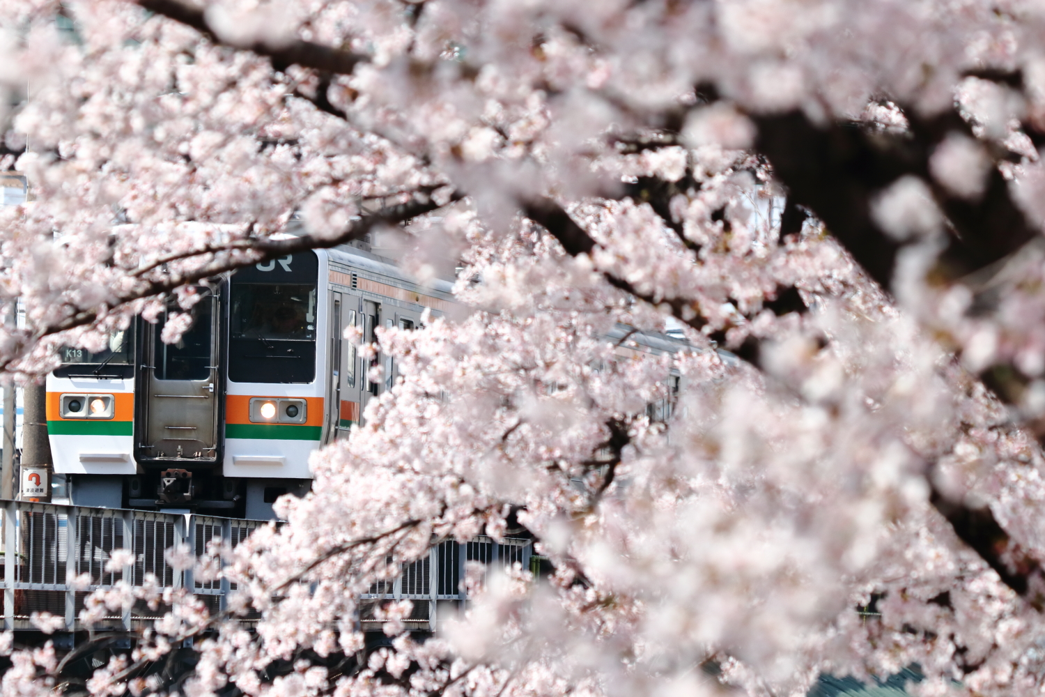 f:id:alr_2000:20190611000711j:plain f:id:alr_2000:20190611000711j:plain