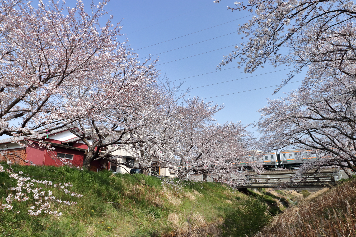 f:id:alr_2000:20190611000722j:plain f:id:alr_2000:20190611000722j:plain