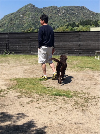 f:id:als20170208:20170429202440j:image