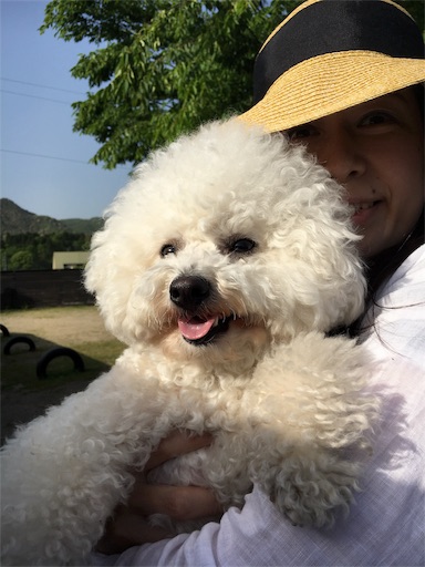 f:id:als20170208:20170508105532j:image