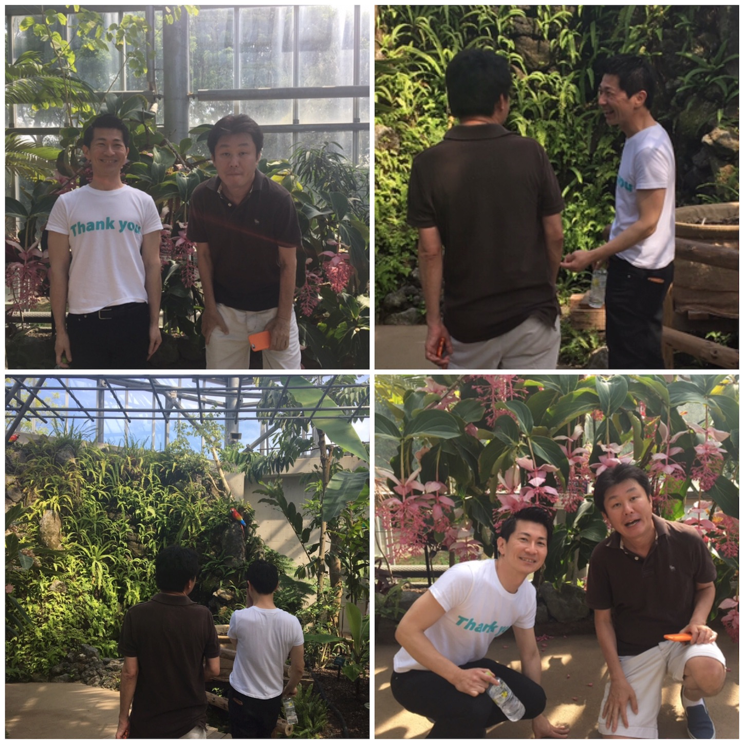 f:id:als20170208:20170522163557j:image