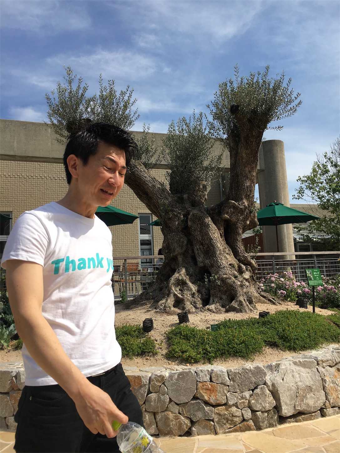 f:id:als20170208:20170522175055j:image