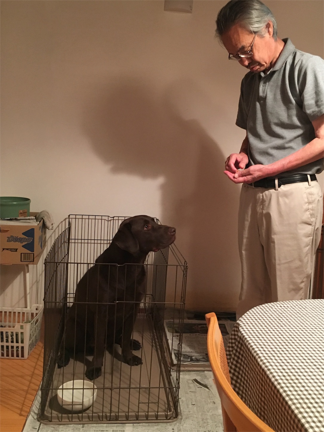 f:id:als20170208:20170615122912j:image