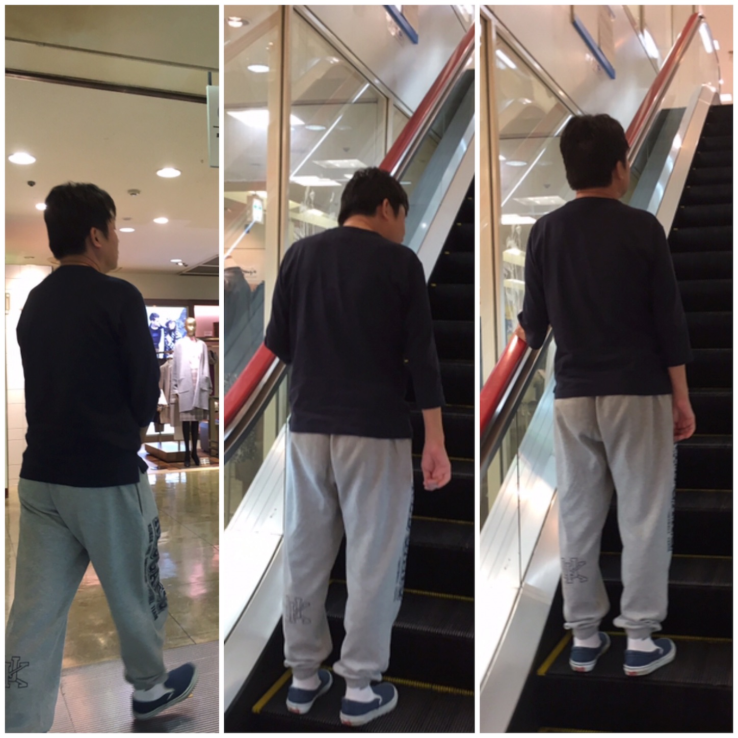 f:id:als20170208:20171103175021j:image