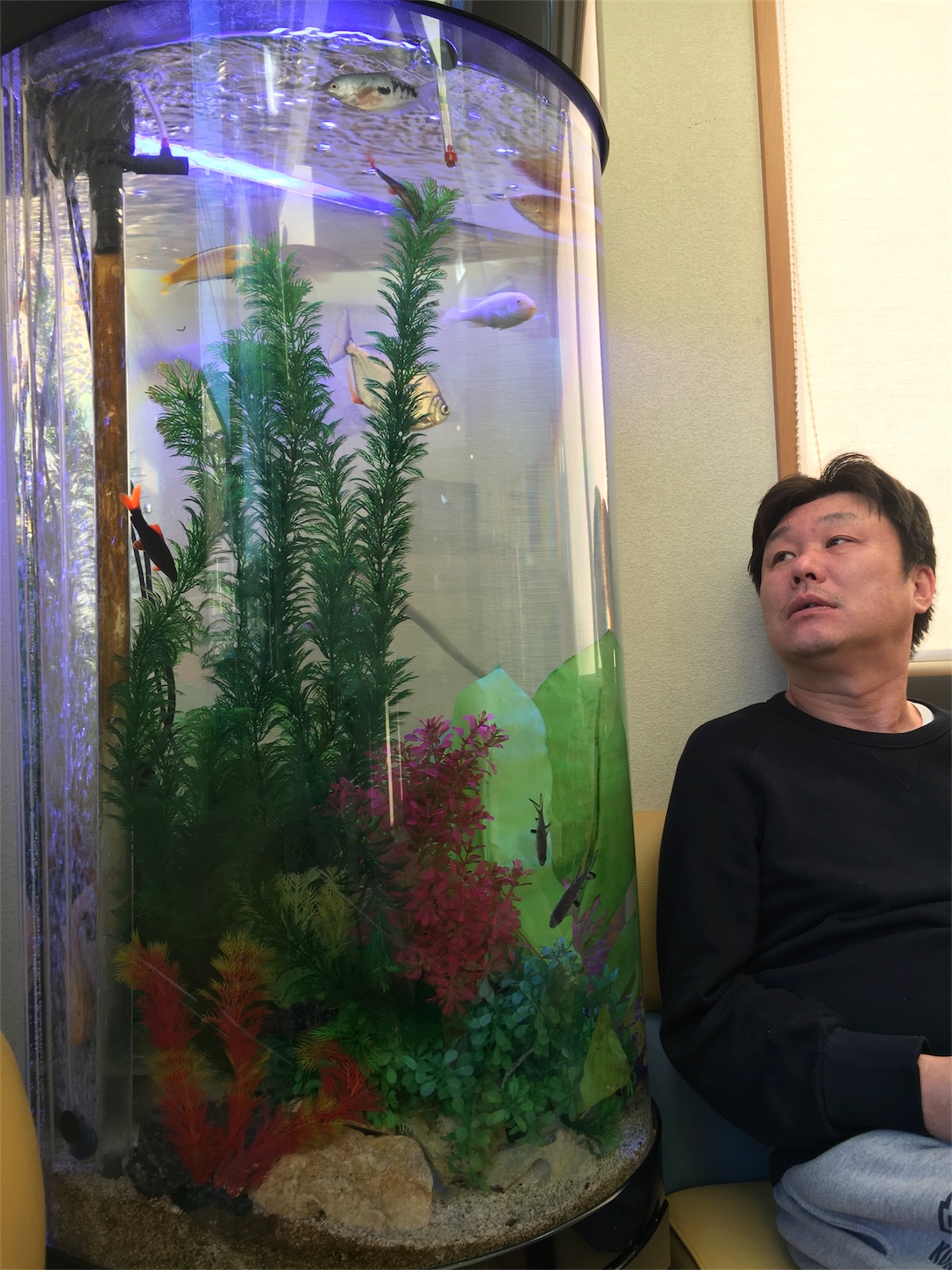 f:id:als20170208:20171114181211j:image